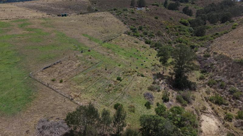 0 Bedroom Property for Sale in Riversdale Western Cape